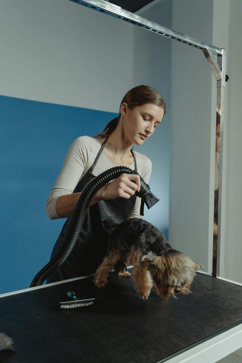 TierFreunde GmbH - Image 13